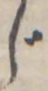 位置定マレルじ