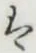 글자 は