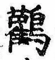 位置定マレル鸛