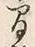 글자 間