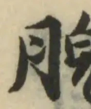 脘 위치 확인됨