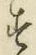 Character す