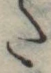𛁠 위치 확인됨