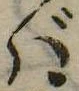 位置 確認된 ば