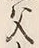 글자 父