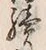 글자 続