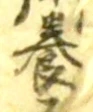 Chữ 養