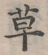 草 위치 확인됨