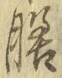 膳 위치 확인됨