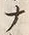 “ナ”字