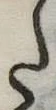 𛁠 위치 확인됨