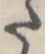 已定位𛁠