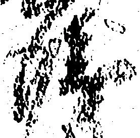 Đã định vị 衛