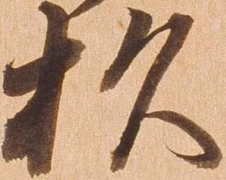 已定位杉