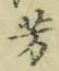 글자 芳