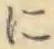 Chữ に