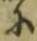 Character に