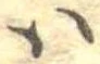 𛂞の位置