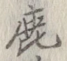 鹿 위치 확인됨