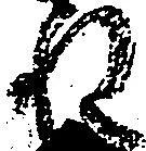 已定位ね
