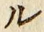 글자 ル