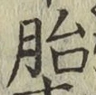 字胎