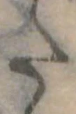 Đã định vị 𛁠