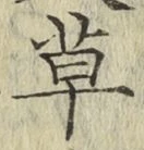 字草