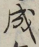 位置 確認된 成
