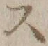글자 ス
