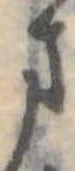 位置定マレル未定