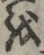 位置 確認된 𛄚