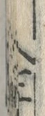 文字管