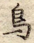 鳥 위치 확인됨