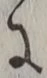 「に」字