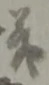 義 위치 확인됨
