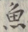 魚，已得其位