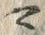 𡨸マ