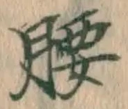 Character 腰