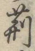 荊 위치 확인됨