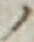 字ノ