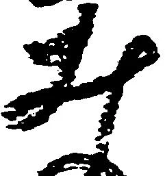 井 위치 확인됨