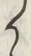 字か