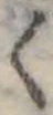 位置 確認된 く