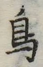 鳥 위치 확인됨