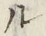 𡨸ル