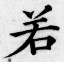 若 위치 확인됨