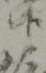 Đã định vị 候