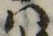 Đã định vị 𛂞
