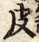 位置定マレル皮